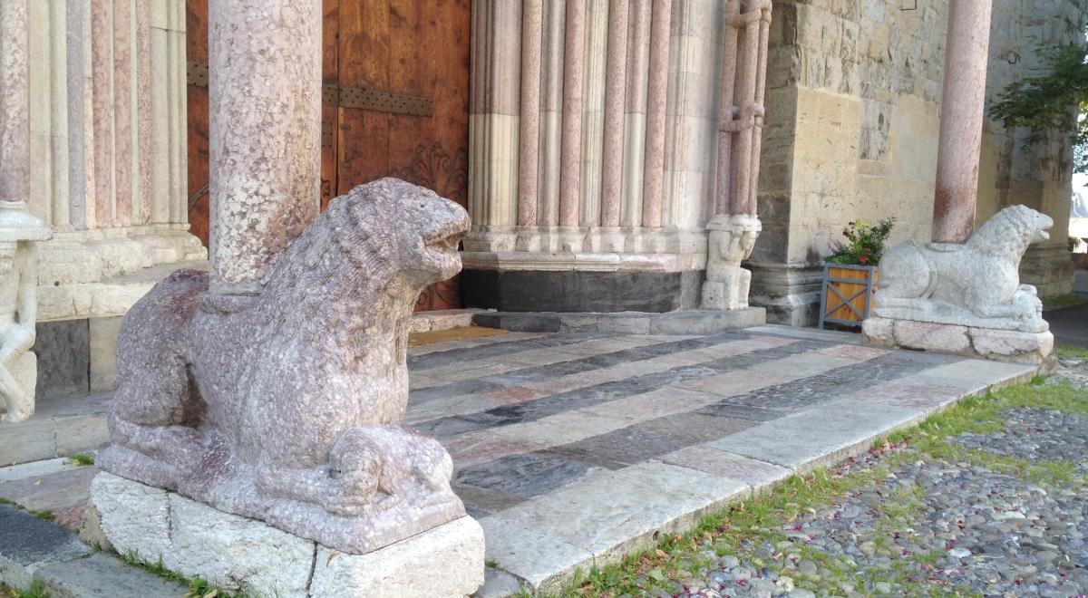 Lion - cathédrale