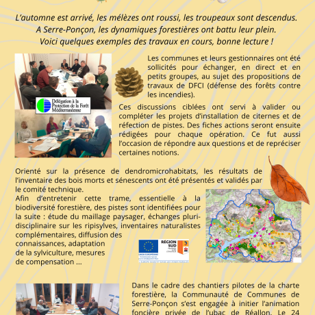 bulletin automne 2024 recto