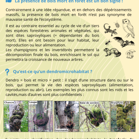 fiche BMS recto