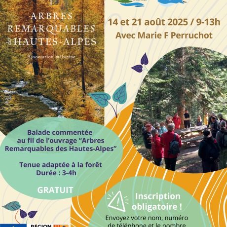 été 2025 - arbres remarquables