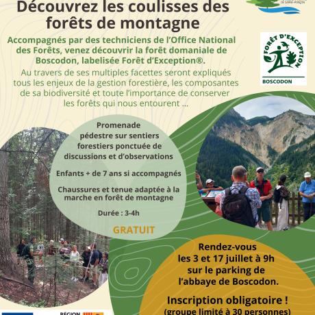 3  et 17 juillet
