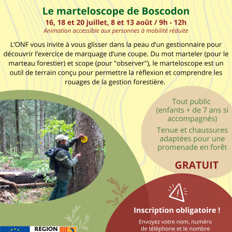 L'ONF propose dans le cadre de la charte forestière, des animations en forêt. Venez découvrir le marteloscope !