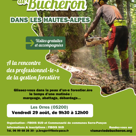 Visite d'un chantier forestier