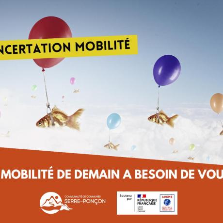 IMAGE CONSULTATION PUBLIQUE PDMS IMAGE CONSULTATION PUBLIQUE PDMS