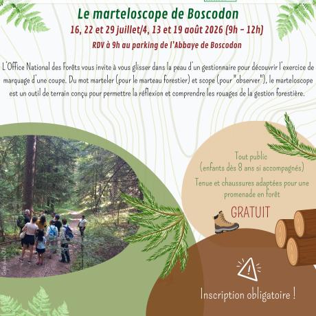 Marteloscope Boscodon_compressed.jpg