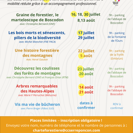 Programme été 2025