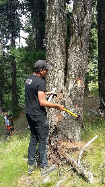 Vis ma vie de burcheron