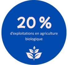 Agriculture